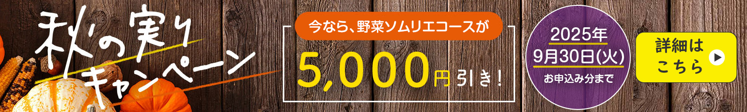 thanks-campaign